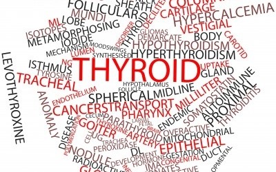 Thyroid-verbage-400x250